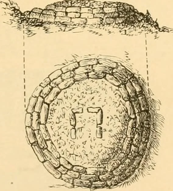 An illustration from Rude stone monuments in all countries; their age and uses, 1872, leaf 422
