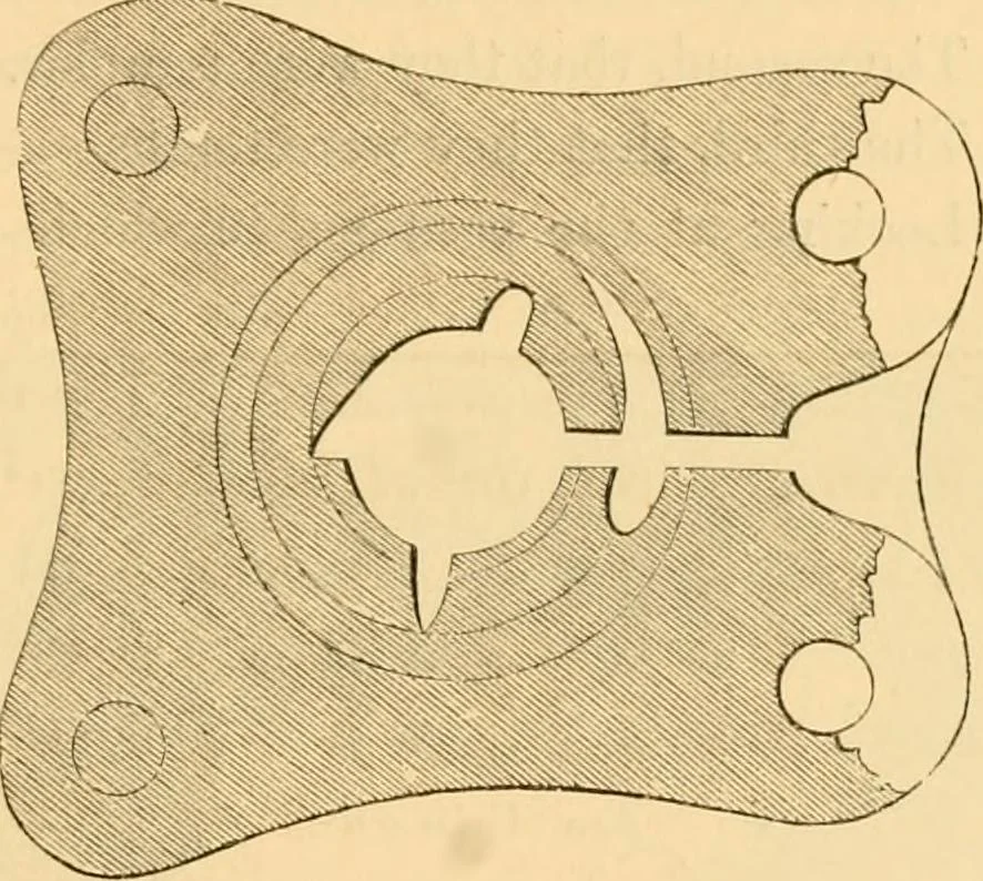 An illustration from Rude stone monuments in all countries; their age and uses, 1872, leaf 454