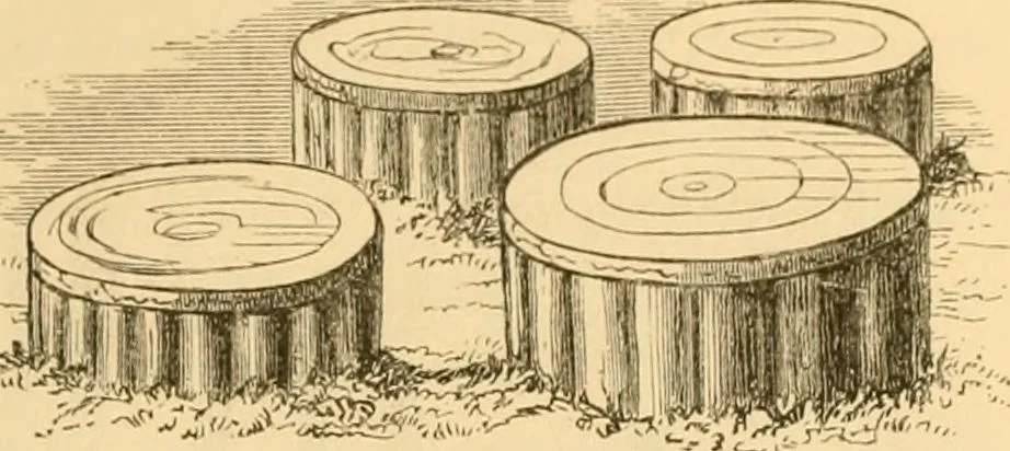An illustration from Rude stone monuments in all countries; their age and uses, 1872, leaf 488