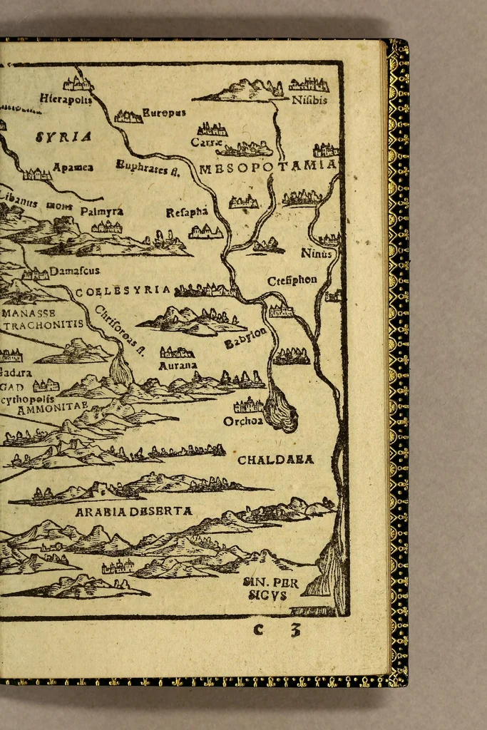 An illustration from Rudimentorum cosmographicorum Ioan. Honteri Coronensis libri III. cum tabellis geographicis elegantissimis. : De variarum rerum nomenclaturis per classes, liber I, 1565, leaf 91