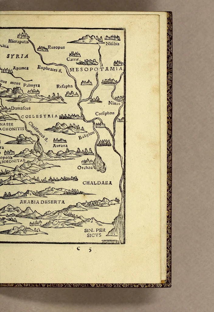 An illustration from Rudimentorum cosmographicorum Ioan. Honteri Coronensis libri III. cum tabellis geographicis elegantissimis. : De uariarum rerum nomenclaturis per classes, liber I, 1552, leaf 89