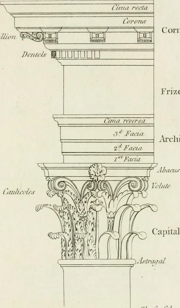 An illustration from The rudiments of ancient architecture, in two parts : containing an historical account of the five orders, with their proportions and examples of each from the antiques : also Vitruvius on the temples and intercolumniations, &c. of the ancients ... : with a dictionary of terms : illustrated with ten plates, 1789, leaf 116