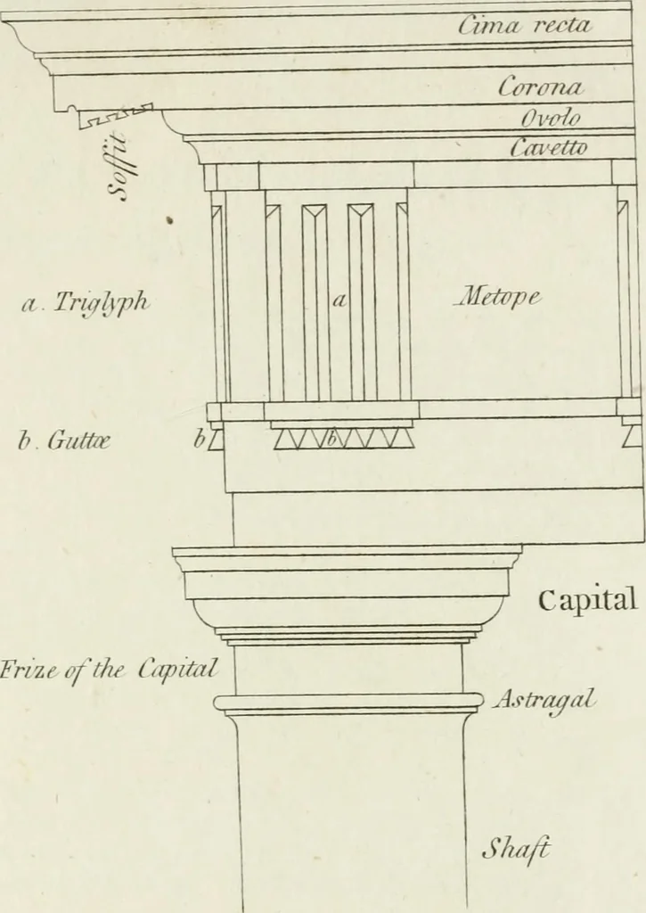 An illustration from The rudiments of ancient architecture, in two parts : containing an historical account of the five orders, with their proportions and examples of each from the antiques : also Vitruvius on the temples and intercolumniations, &c. of the ancients ... : with a dictionary of terms : illustrated with ten plates, 1789, leaf 118