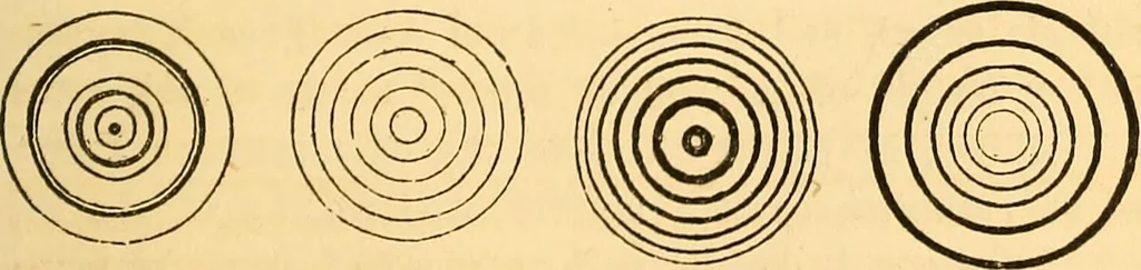 An illustration from The rudiments of architecture and building, for the use of architects, builders, draughtsmen, machinists, engineers, and mechanics, 1872, leaf 138