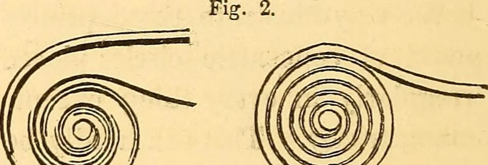 An illustration from The rudiments of architecture and building, for the use of architects, builders, draughtsmen, machinists, engineers, and mechanics, 1872, leaf 139