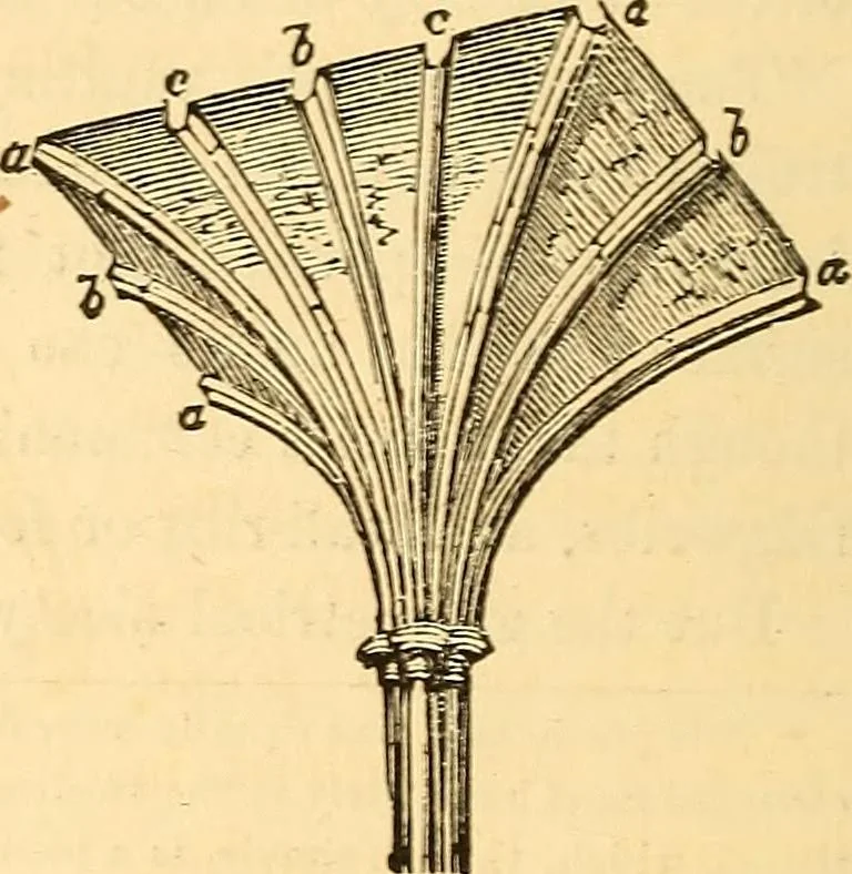 An illustration from The rudiments of architecture and building, for the use of architects, builders, draughtsmen, machinists, engineers, and mechanics, 1872, leaf 235