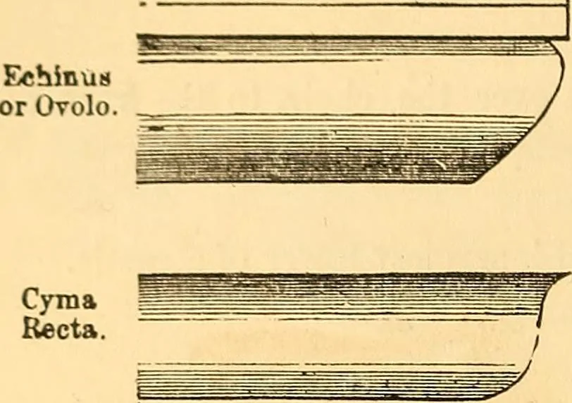 An illustration from The rudiments of architecture and building, for the use of architects, builders, draughtsmen, machinists, engineers, and mechanics, 1872, leaf 307