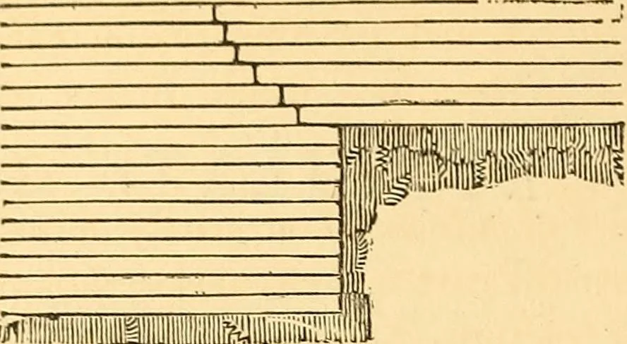 An illustration from The rudiments of architecture and building, for the use of architects, builders, draughtsmen, machinists, engineers, and mechanics, 1872, leaf 319
