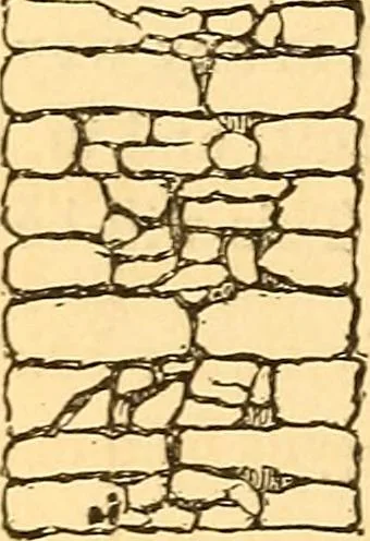 An illustration from The rudiments of architecture and building, for the use of architects, builders, draughtsmen, machinists, engineers, and mechanics, 1872, leaf 359