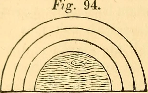 An illustration from The rudiments of architecture and building, for the use of architects, builders, draughtsmen, machinists, engineers, and mechanics, 1872, leaf 439