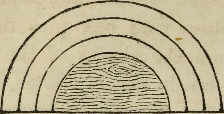 An illustration from Rudiments of the art of building : represented in five sections [...] for the use of architects, builders, draghtsmen, machinists, engineers and mechanics, 1853, leaf 135