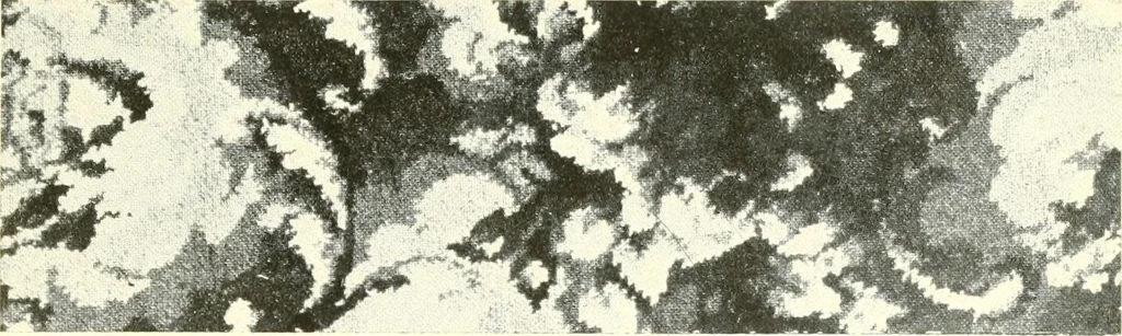 An illustration from The rug and carpet industry of Philadelphia:, 1917, leaf 14