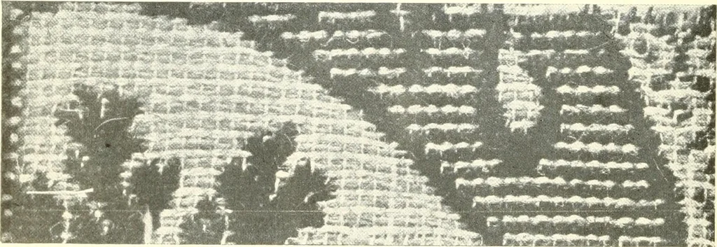 An illustration from The rug and carpet industry of Philadelphia:, 1917, leaf 17