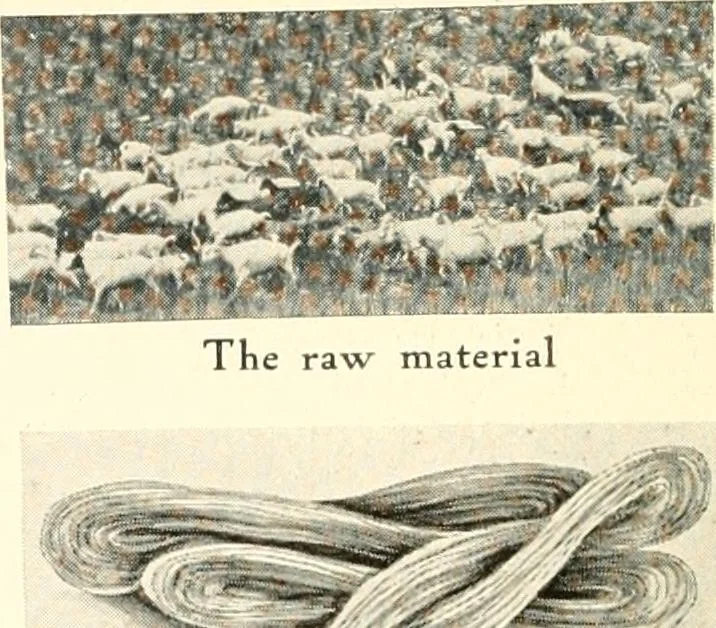 An illustration from The rug and carpet industry of Philadelphia:, 1917, leaf 7