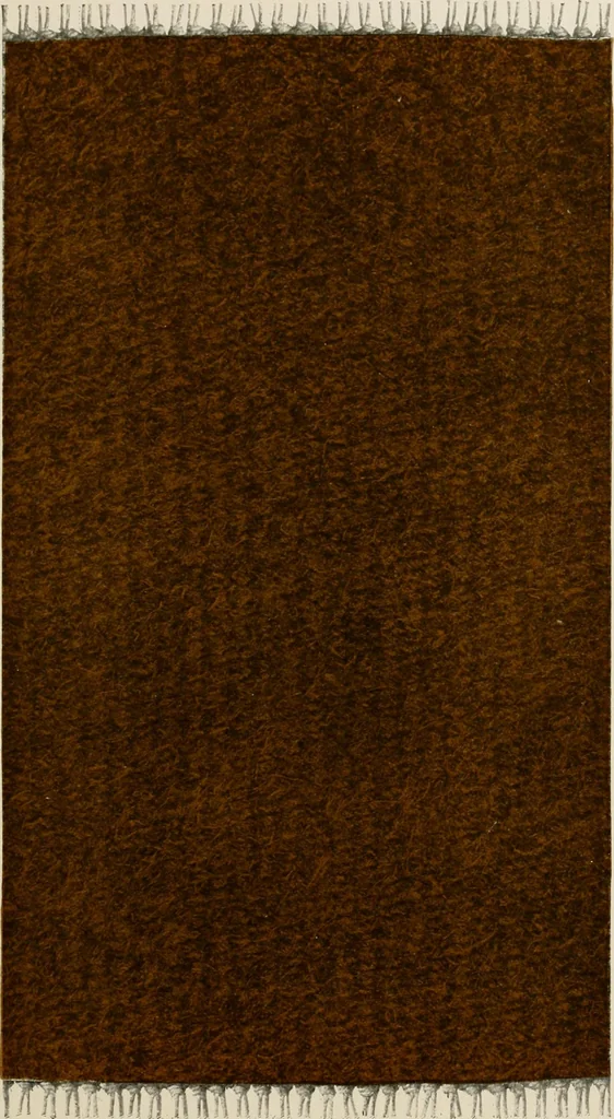 An illustration from Rug and the color scheme., 1917, leaf 18