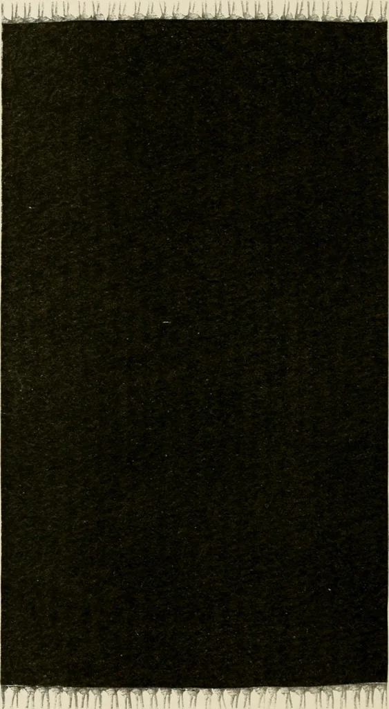 An illustration from Rug and the color scheme., 1917, leaf 21