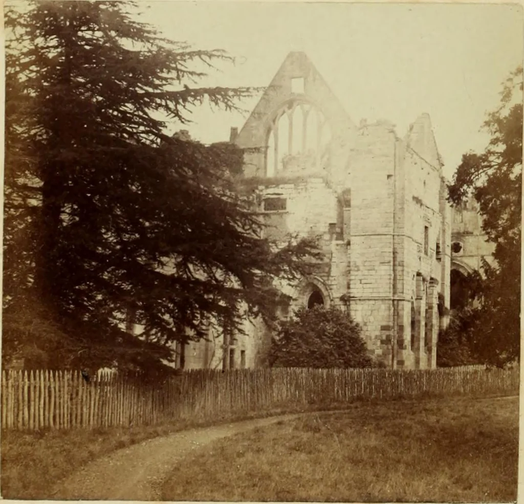 An illustration from Ruined abbeys and castles of Great Britain and Ireland, 1864, leaf 193