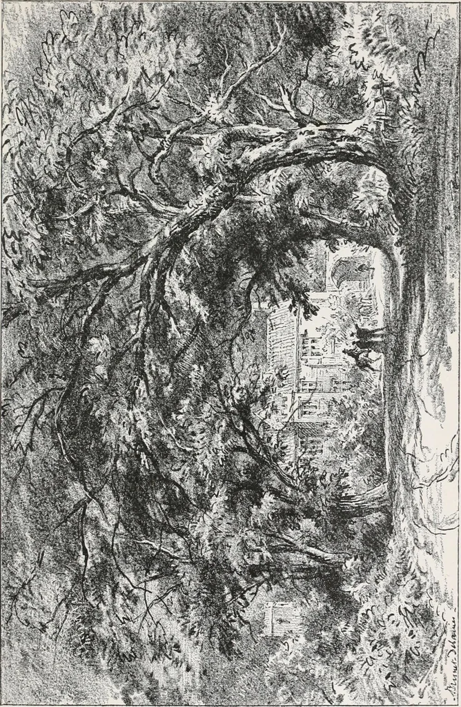 An illustration from The ruined abbeys of Yorkshire, 1891, leaf 216