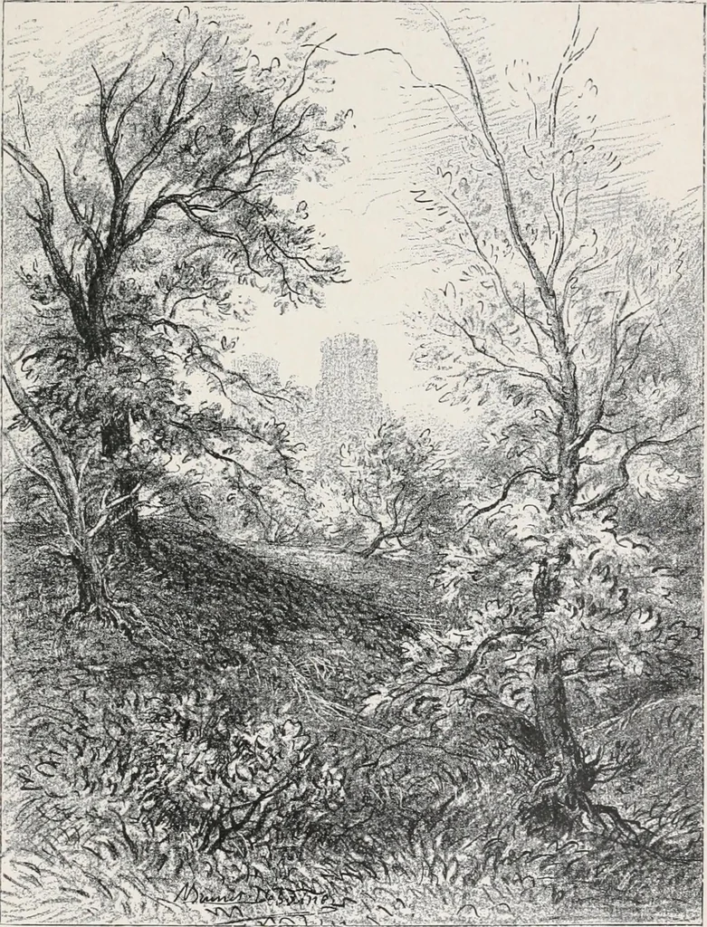 An illustration from The ruined abbeys of Yorkshire, 1891, leaf 60