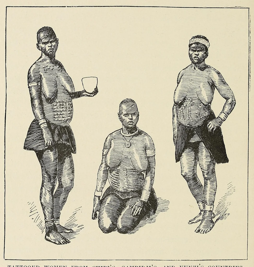 An illustration from The ruined cities of Mashonaland : being a record of excavation and exploration in 1891, with a chapter on the orientation and mensuration of the temple by R. M. W. Swan, 1893, leaf 338