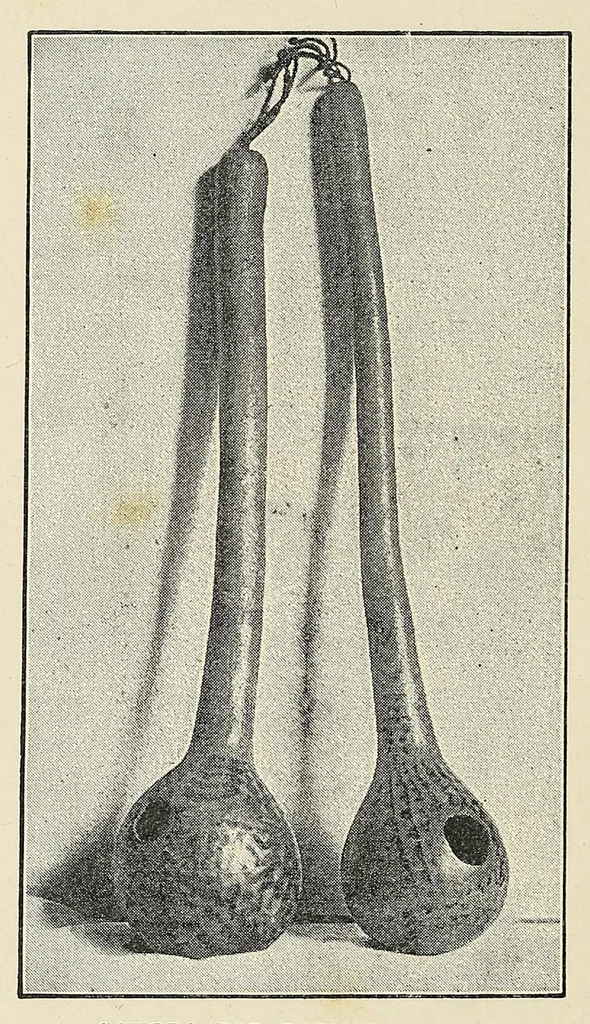 An illustration from The ruined cities of Mashonaland : being a record of excavation and exploration in 1891, with a chapter on the orientation and mensuration of the temple by R. M. W. Swan, 1893, leaf 70