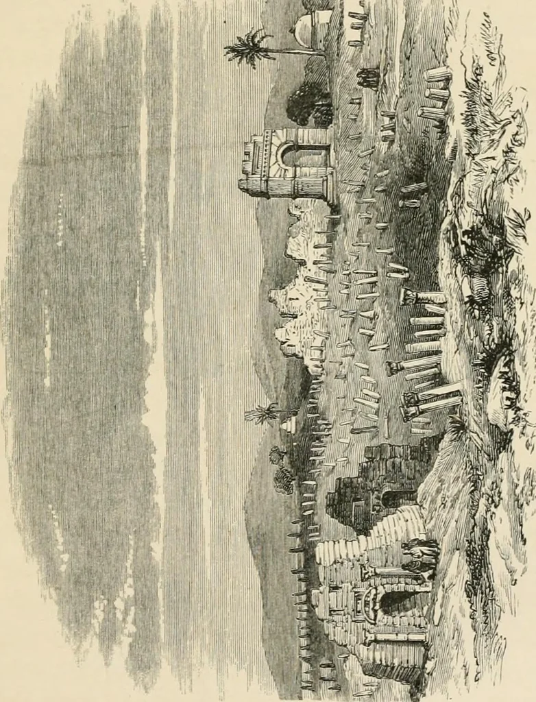 An illustration from Ruined cities within Numidian and Carthaginian territories, 1862, leaf 228