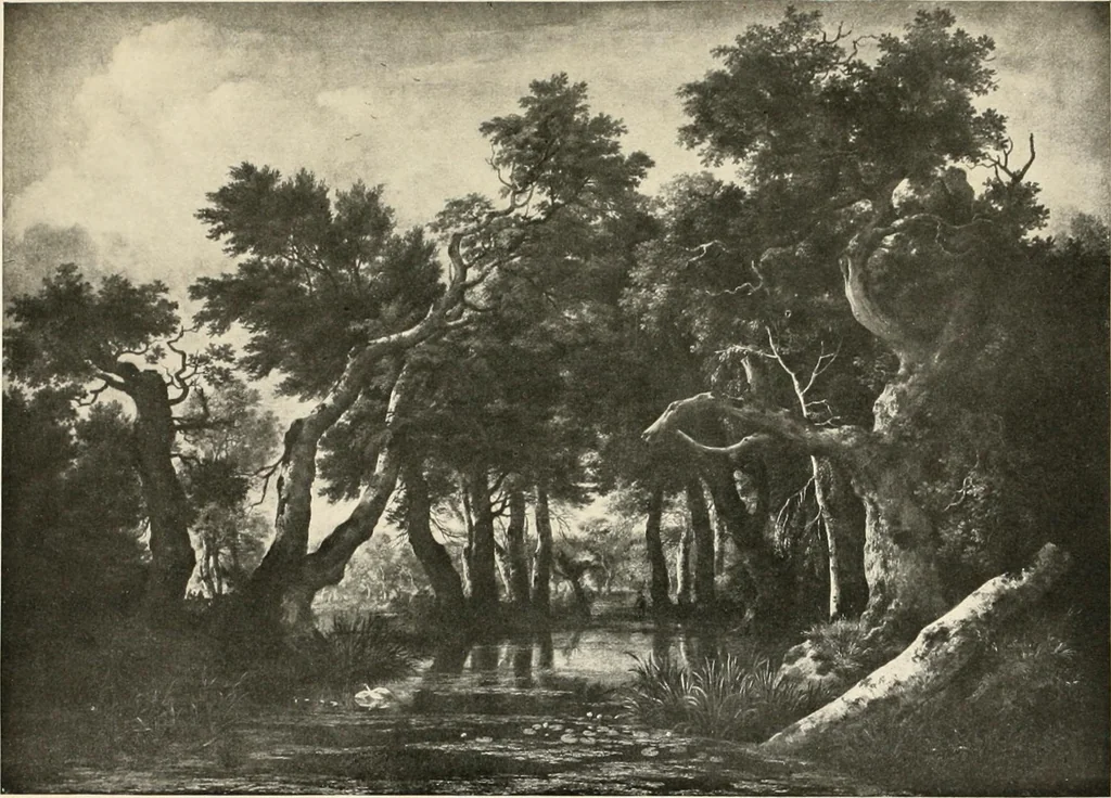 An illustration from Ruisdaal, 1907, leaf 16