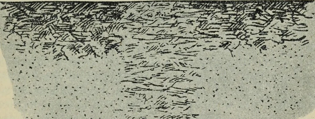 An illustration from Rukovodstvo dlia arkheologicheskikh raskopok, 1914, leaf 26