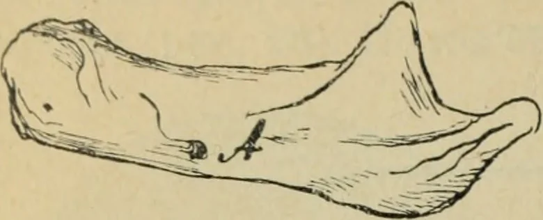 An illustration from Rukovodstvo dlia arkheologicheskikh raskopok, 1914, leaf 43