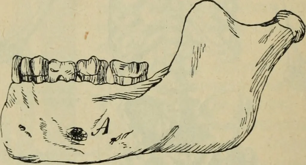 An illustration from Rukovodstvo dlia arkheologicheskikh raskopok, 1914, leaf 43
