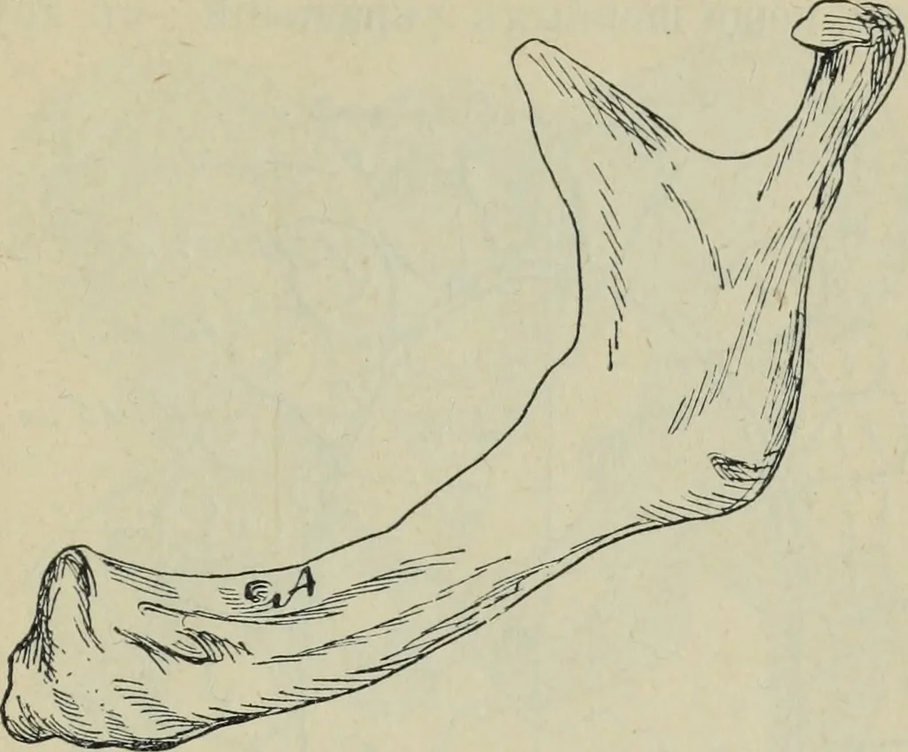 An illustration from Rukovodstvo dlia arkheologicheskikh raskopok, 1914, leaf 44