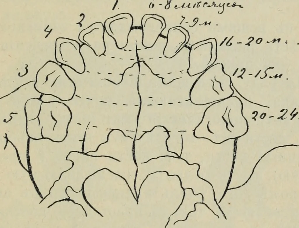 An illustration from Rukovodstvo dlia arkheologicheskikh raskopok, 1914, leaf 44