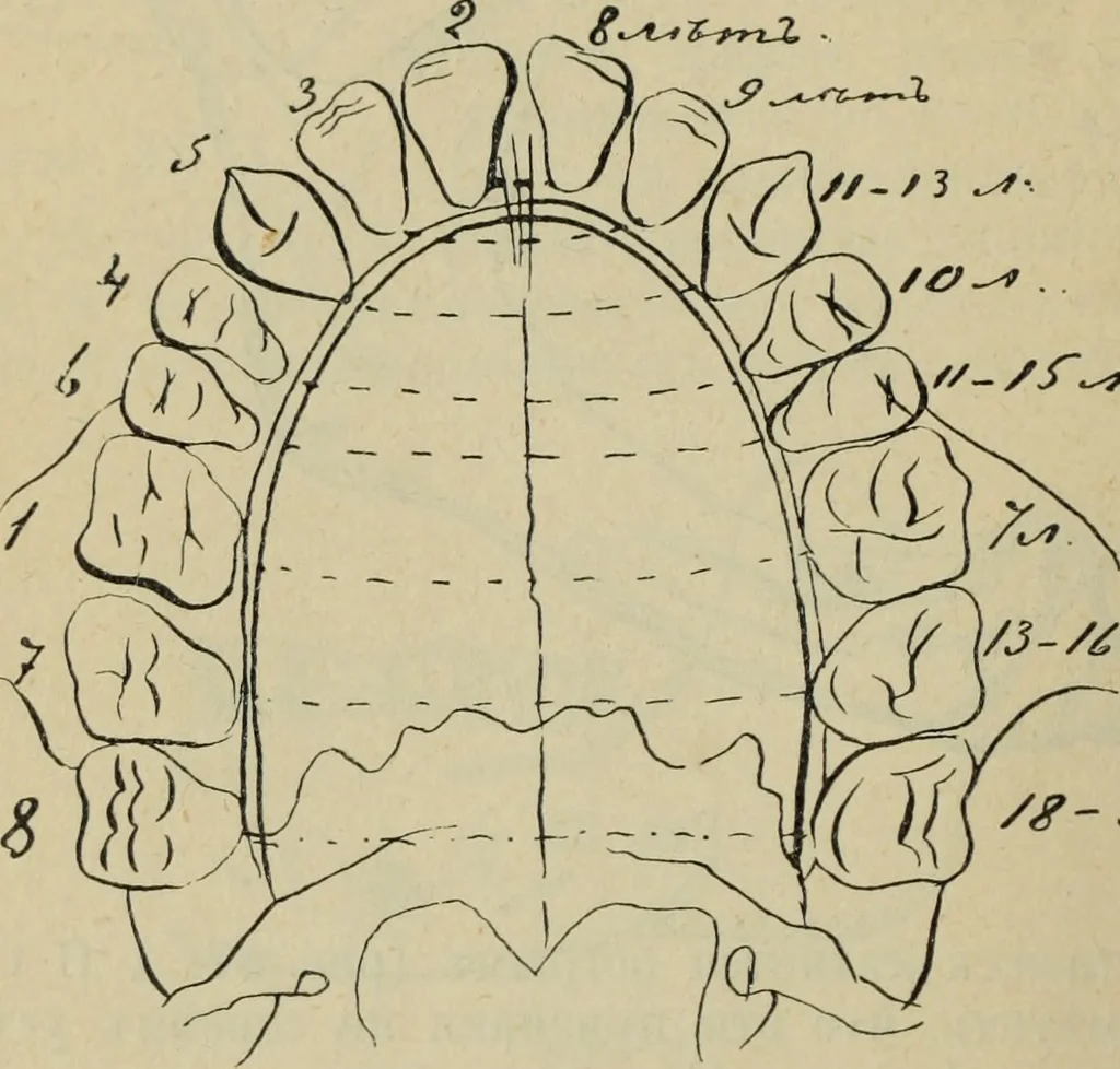 An illustration from Rukovodstvo dlia arkheologicheskikh raskopok, 1914, leaf 45