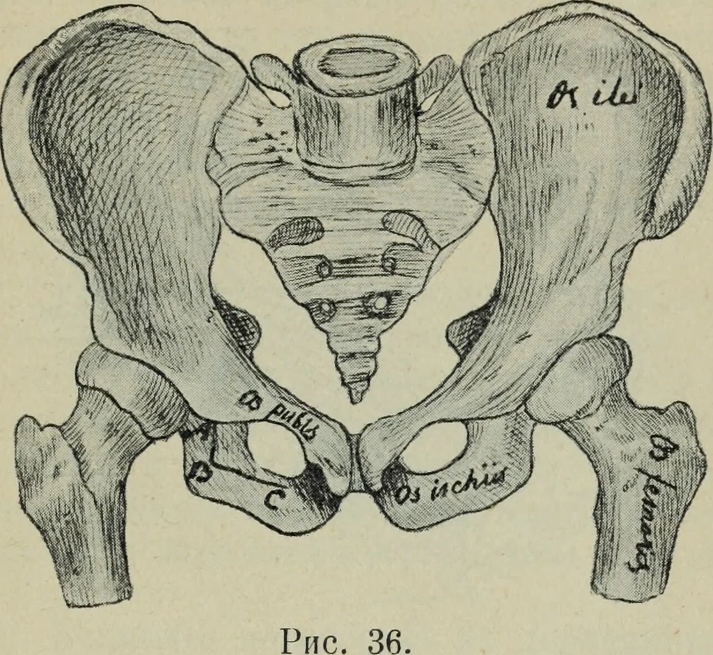 An illustration from Rukovodstvo dlia arkheologicheskikh raskopok, 1914, leaf 46