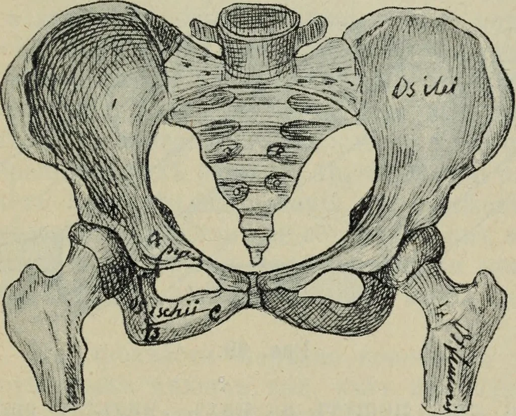 An illustration from Rukovodstvo dlia arkheologicheskikh raskopok, 1914, leaf 46