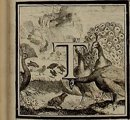 An illustration from Rules and examples of perspective, proper for painters and architects, etc. In English and Latin ... by .., 1707, leaf 140