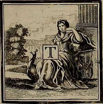 An illustration from Rules and examples of perspective, proper for painters and architects, etc. In English and Latin ... by .., 1707, leaf 224