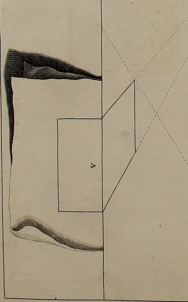 An illustration from Rules and examples of perspective, proper for painters and architects, etc. In English and Latin ... by .., 1707, leaf 31