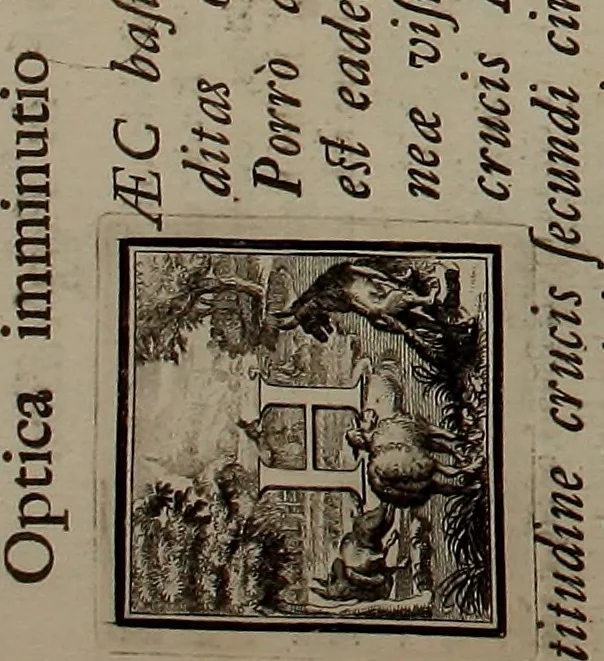 An illustration from Rules and examples of perspective, proper for painters and architects, etc. In English and Latin ... by .., 1707, leaf 81