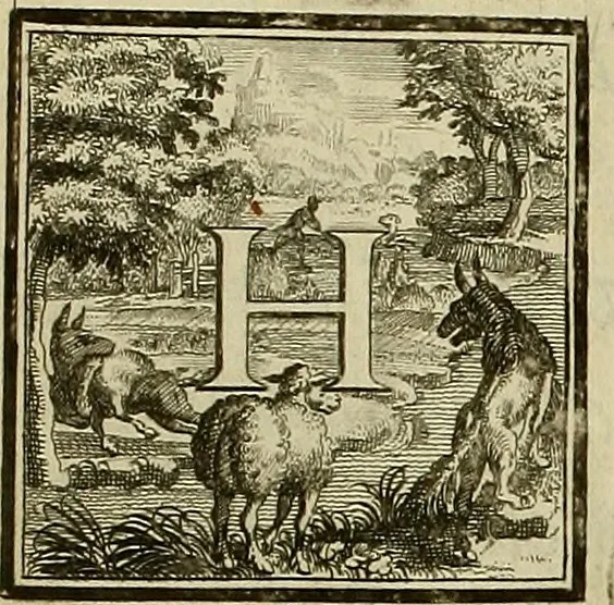 An illustration from Rules and examples of perspective proper for painters and architects, etc. in English and Latin :‡bcontaining a most easie and expeditious method to delineate in perspective all designs relating to architecture, after a new manner, wholly free from the confusion of occult lines /‡cby that great master thereof, Andrea Pozzo, Soc. Jef. engraven in 105 ample folio plates, and adorn'd with 200 initial letters to the explanatory discourses ; printed from copper-plates ony best paper by John Sturt ; done into English from the original printed at Rome 1693 in Lat. and Ital. by Mr John James of Greenwich, 1693, leaf 209