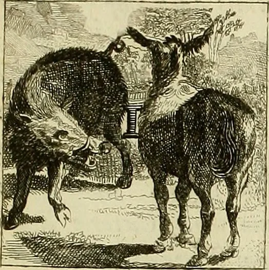 An illustration from Rules and examples of perspective proper for painters and architects, etc. in English and Latin :‡bcontaining a most easie and expeditious method to delineate in perspective all designs relating to architecture, after a new manner, wholly free from the confusion of occult lines /‡cby that great master thereof, Andrea Pozzo, Soc. Jef. engraven in 105 ample folio plates, and adorn'd with 200 initial letters to the explanatory discourses ; printed from copper-plates ony best paper by John Sturt ; done into English from the original printed at Rome 1693 in Lat. and Ital. by Mr John James of Greenwich, 1693, leaf 233