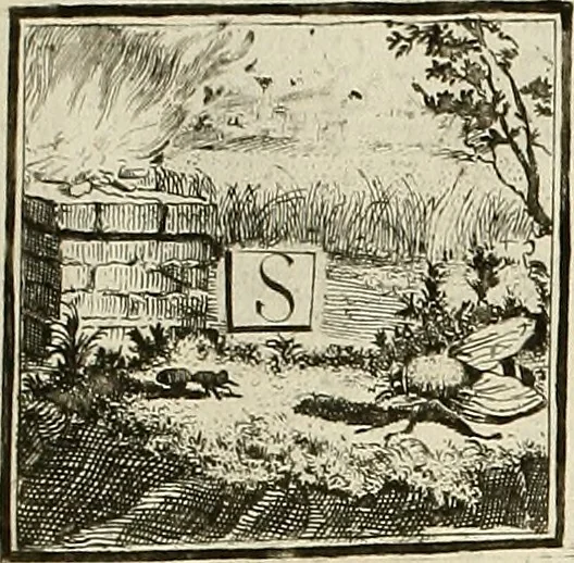 An illustration from Rules and examples of perspective proper for painters and architects, etc. in English and Latin :‡bcontaining a most easie and expeditious method to delineate in perspective all designs relating to architecture, after a new manner, wholly free from the confusion of occult lines /‡cby that great master thereof, Andrea Pozzo, Soc. Jef. engraven in 105 ample folio plates, and adorn'd with 200 initial letters to the explanatory discourses ; printed from copper-plates ony best paper by John Sturt ; done into English from the original printed at Rome 1693 in Lat. and Ital. by Mr John James of Greenwich, 1693, leaf 250