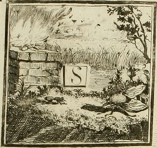 An illustration from Rules and examples of perspective proper for painters and architects, etc. in English and Latin :‡bcontaining a most easie and expeditious method to delineate in perspective all designs relating to architecture, after a new manner, wholly free from the confusion of occult lines /‡cby that great master thereof, Andrea Pozzo, Soc. Jef. engraven in 105 ample folio plates, and adorn'd with 200 initial letters to the explanatory discourses ; printed from copper-plates ony best paper by John Sturt ; done into English from the original printed at Rome 1693 in Lat. and Ital. by Mr John James of Greenwich, 1693, leaf 256