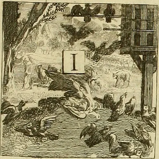 An illustration from Rules and examples of perspective proper for painters and architects, etc. in English and Latin :‡bcontaining a most easie and expeditious method to delineate in perspective all designs relating to architecture, after a new manner, wholly free from the confusion of occult lines /‡cby that great master thereof, Andrea Pozzo, Soc. Jef. engraven in 105 ample folio plates, and adorn'd with 200 initial letters to the explanatory discourses ; printed from copper-plates ony best paper by John Sturt ; done into English from the original printed at Rome 1693 in Lat. and Ital. by Mr John James of Greenwich, 1693, leaf 257