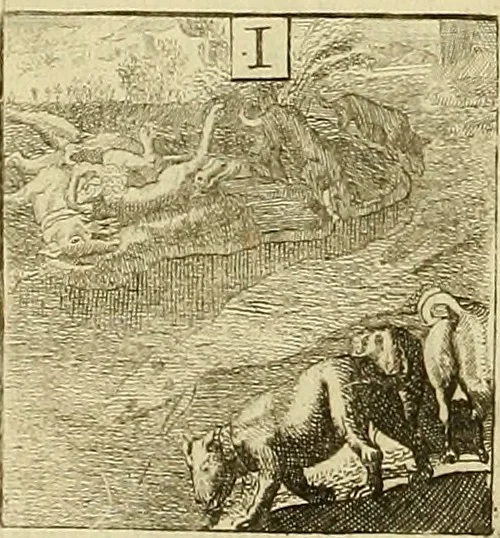 An illustration from Rules and examples of perspective proper for painters and architects, etc. in English and Latin :‡bcontaining a most easie and expeditious method to delineate in perspective all designs relating to architecture, after a new manner, wholly free from the confusion of occult lines /‡cby that great master thereof, Andrea Pozzo, Soc. Jef. engraven in 105 ample folio plates, and adorn'd with 200 initial letters to the explanatory discourses ; printed from copper-plates ony best paper by John Sturt ; done into English from the original printed at Rome 1693 in Lat. and Ital. by Mr John James of Greenwich, 1693, leaf 257