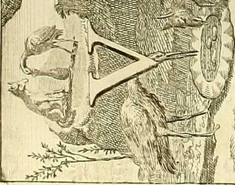 An illustration from Rules and examples of perspective proper for painters and architects, etc. in English and Latin :‡bcontaining a most easie and expeditious method to delineate in perspective all designs relating to architecture, after a new manner, wholly free from the confusion of occult lines /‡cby that great master thereof, Andrea Pozzo, Soc. Jef. engraven in 105 ample folio plates, and adorn'd with 200 initial letters to the explanatory discourses ; printed from copper-plates ony best paper by John Sturt ; done into English from the original printed at Rome 1693 in Lat. and Ital. by Mr John James of Greenwich, 1693, leaf 275