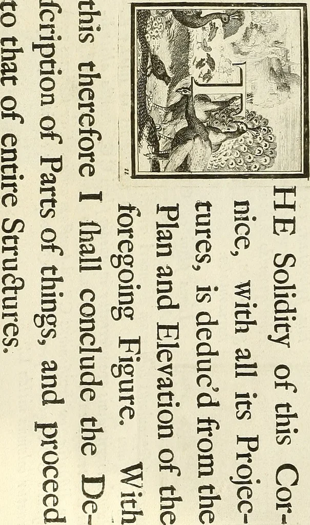 An illustration from Rules and examples of perspective proper for painters and architects, etc. in English and Latin :‡bcontaining a most easie and expeditious method to delineate in perspective all designs relating to architecture, after a new manner, wholly free from the confusion of occult lines /‡cby that great master thereof, Andrea Pozzo, Soc. Jef. engraven in 105 ample folio plates, and adorn'd with 200 initial letters to the explanatory discourses ; printed from copper-plates ony best paper by John Sturt ; done into English from the original printed at Rome 1693 in Lat. and Ital. by Mr John James of Greenwich, 1693, leaf 286
