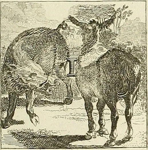 An illustration from Rules and examples of perspective proper for painters and architects, etc. in English and Latin :‡bcontaining a most easie and expeditious method to delineate in perspective all designs relating to architecture, after a new manner, wholly free from the confusion of occult lines /‡cby that great master thereof, Andrea Pozzo, Soc. Jef. engraven in 105 ample folio plates, and adorn'd with 200 initial letters to the explanatory discourses ; printed from copper-plates ony best paper by John Sturt ; done into English from the original printed at Rome 1693 in Lat. and Ital. by Mr John James of Greenwich, 1693, leaf 310