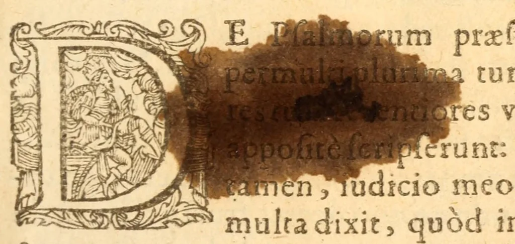 An illustration from Psalmorum Davidis et aliorum prophetarum, libri quinque : Argumentis & Latina paraphrasi illustrati, ac etiam vario carminum genere latinè expressis, 1579, leaf 13