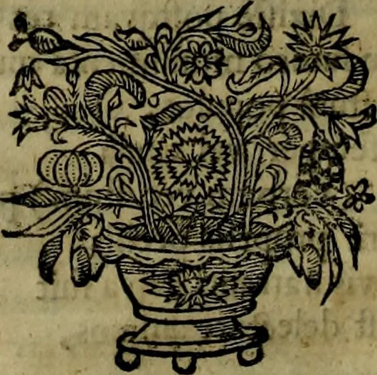 An illustration from Runir [in Runic characters], seu, Danica literatura antiqvissima, 1651, leaf 17